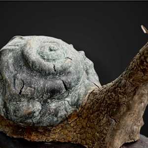 Weathered by Cindy Stevens, Image 2.