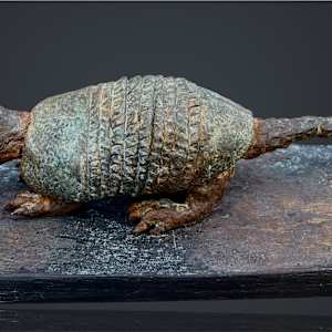 Armored by Cindy Stevens, Image 3.