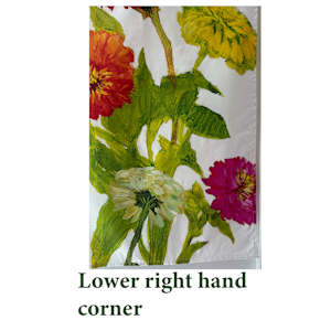 Zinnias by nikki  Image: Lower right hand corner.