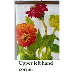 Zinnias by nikki  Image: Upper left hand corner.