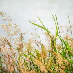 diannepoinski.Afternoon.Breeze2 by Dianne Poinski, Image 11.