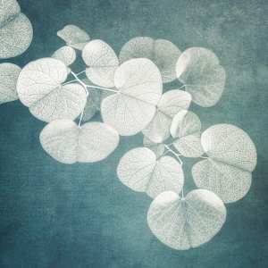 diannepoinski.Blue_Whispers_2 by Dianne Poinski, Image 3.