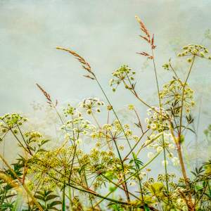 diannepoinski.Botanical_Harmony by Dianne Poinski, Image 12.