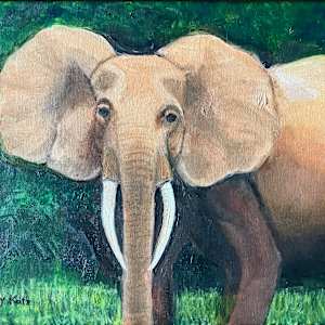 Save Elephants by Sandy Katz