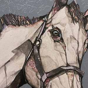 A horse by Young Kim 