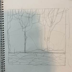 Two Trees by Young Kim 
