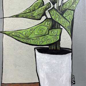 Contained by Young Kim 