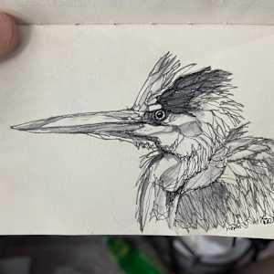 Heron by Young Kim 