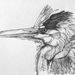 Heron by Young Kim 