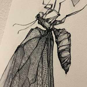 Butterfly by Young Kim 