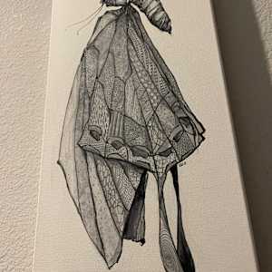 Butterfly by Young Kim 