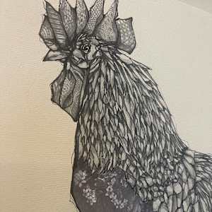 Hen by Young Kim 