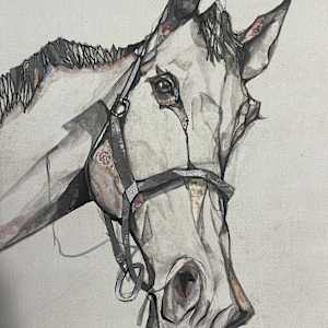 A horse by Young Kim 