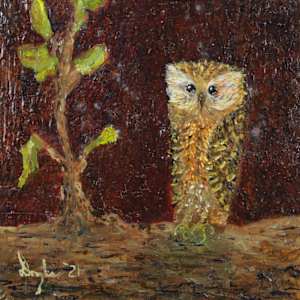 Laughing Owl by Douglas Black