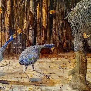 Momma Moa by Douglas Black