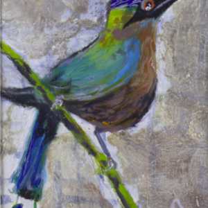 Mot-mot by Douglas Black