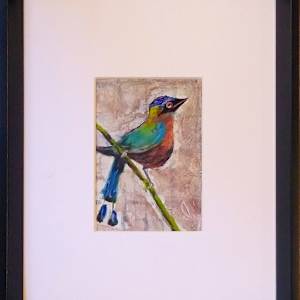 Mot-mot by Douglas Black  Image: Framed Mot-mot