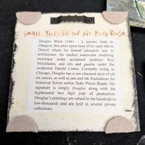 Small Thrush In No Big Rush by Douglas Black  Image: Back, Small Thrush In No Big Rush