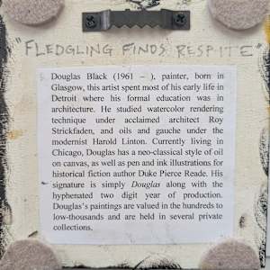 Fledgling Finds Respite by Douglas Black  Image: Back, Fledgling Finds Respite