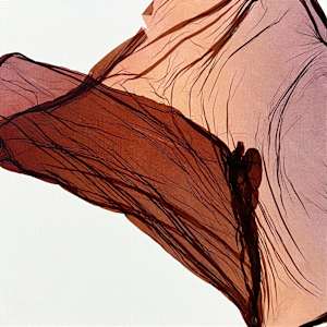 Float Mini #3 by Jenny Johannsen