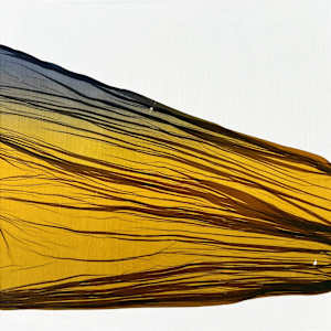 Float Mini #2 by Jenny Johannsen