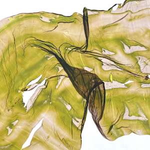 Pocketed Path by Jenny Johannsen