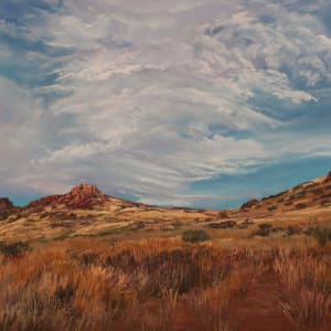 A Sky As Big As Texas by Lindy Cook Severns 