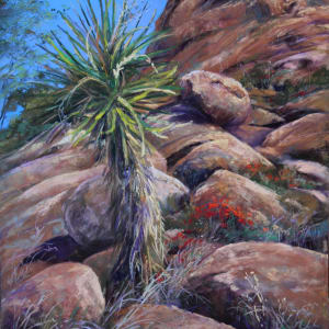 Life on the Rocks by Lindy Cook Severns 