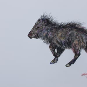 Javelina Takes a Hike by Lindy Cook Severns 