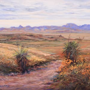 Across West Texas by Lindy Cook Severns 
