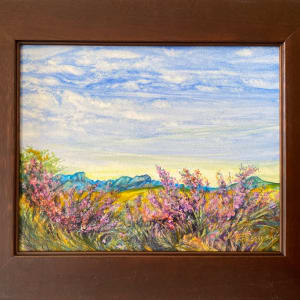 Sunny Texas Sage by Lindy Cook Severns 