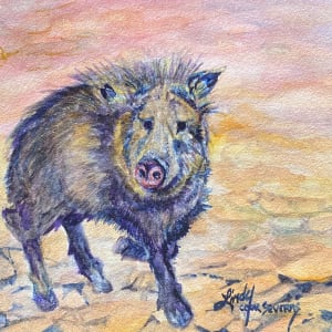 Javelina Howdy by Lindy Cook Severns