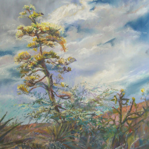 Agave Sky by Lindy Cook Severns 