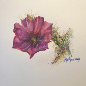 Cholla Bloom by Lindy Cook Severns 