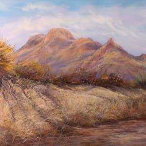 Desert Waking by Lindy Cook Severns 