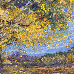 Path of Falling Gold by Lindy Cook Severns, Image 3.
