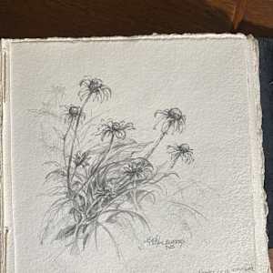 An Afternoon With Black-Eyed Susans by Lindy Cook Severns 