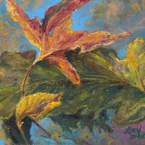 Falling Leaves by Lindy Cook Severns