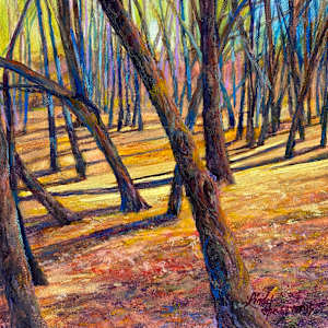 A Walk In Autumn's Woods by Lindy Cook Severns