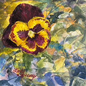 A Wink from A Pansy by Lindy Cook Severns, Image 1.