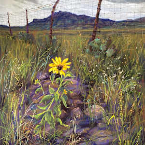 Old Blue, Ranch Country Morning by Lindy Cook Severns, Image 1.