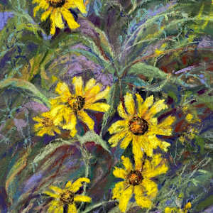 Dancing Black Eyed Susans by Lindy Cook Severns, Image 1.