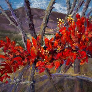 Desert Torch by Lindy Cook Severns