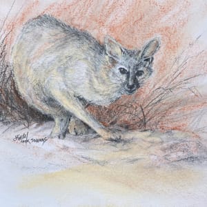 Eyes on You by Lindy Cook Severns