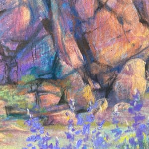 Bluebonnets on the Rocks by Lindy Cook Severns  Image: rock detail