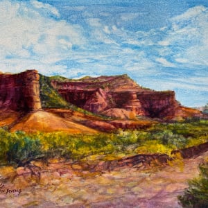 Sunkissed Canyons by Lindy Cook Severns
