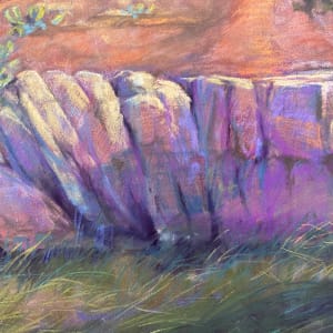 A Thousand Colors in a Parched Land by Lindy Cook Severns 