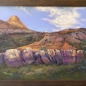 A Thousand Colors in a Parched Land by Lindy Cook Severns 