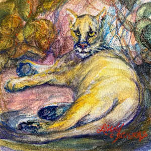 Mr. Kitty by Lindy Cook Severns