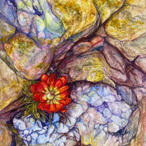 Growing Solo by Lindy Cook Severns